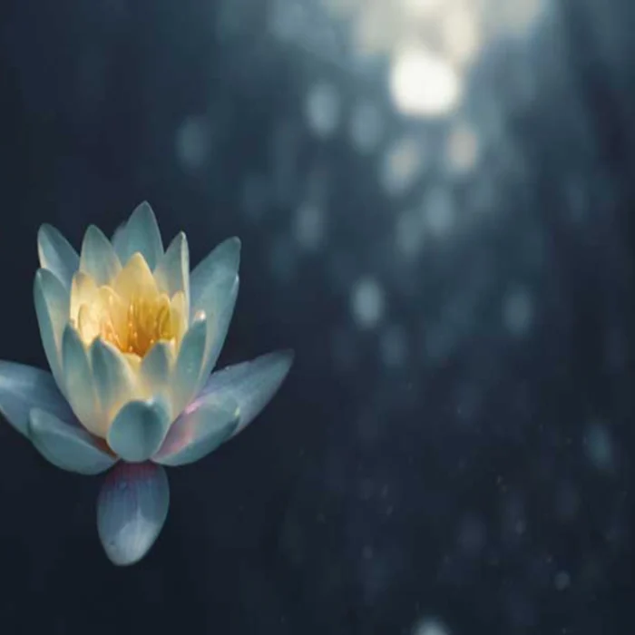 LE NOSTRE EMOZIONI? I PRIMI CAMPANELLI D’ALLARME DI UN MALESSERE PSICOFISICO. Sostituire i vecchi schemi mentali.